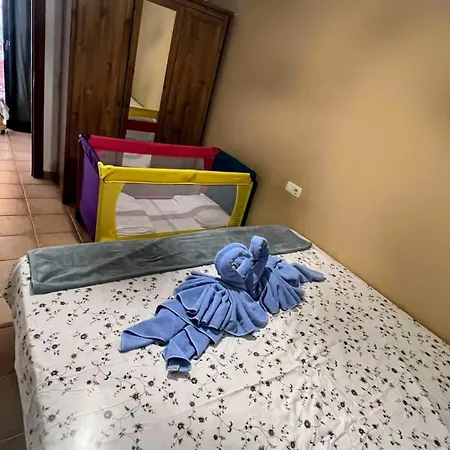 Orquidea Nyaraló Corralejo