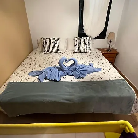 Orquidea קורלחו