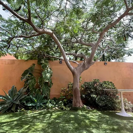 בית נופש Orquidea